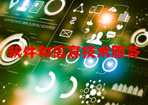 軟件和信息技術(shù)服務(wù)行業(yè)運行態(tài)勢與競爭格局分析 附報告目錄